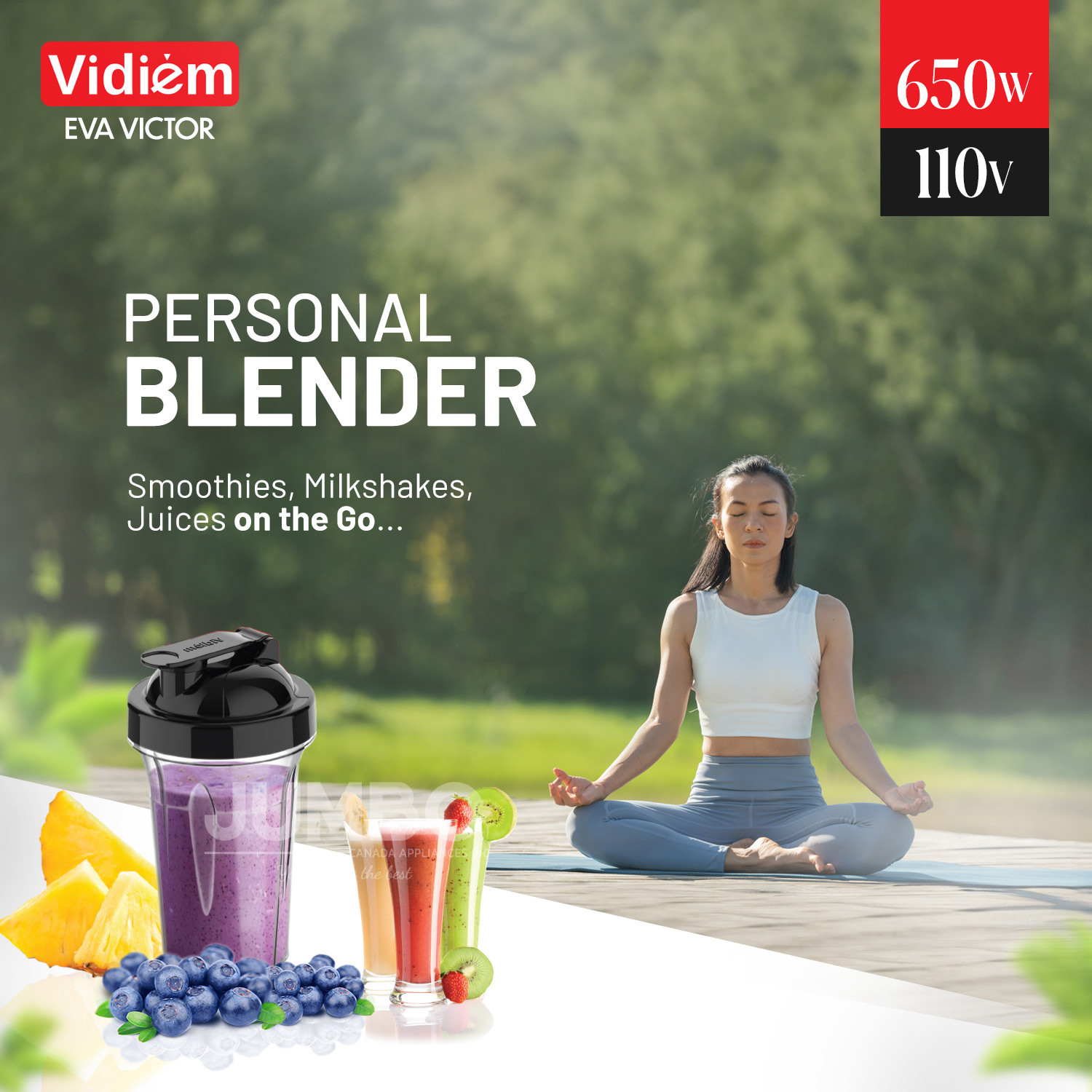 vidiem-eva-victor-pro-650w-110v-indian-mixer-grinder-ss-jars-250ml-spice-personal-coffee-herbs-grinder-with-500ml-personal-juices-shakes-smoothie-blender-made-for-canada-usa4